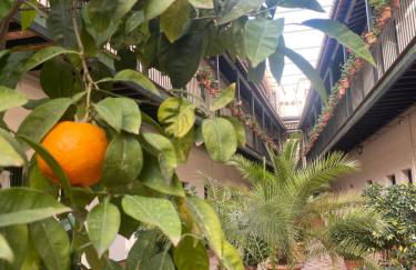 Apartament Alameda center - Foto 20