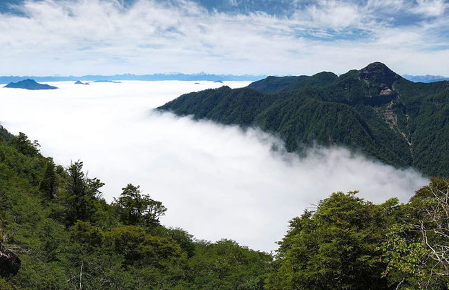 Cabañas Pewma Futrono - Foto 71