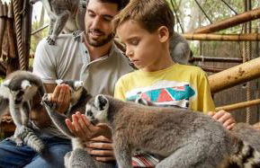 Ashanti Club Luxury Holiday Apartment - Photo 49