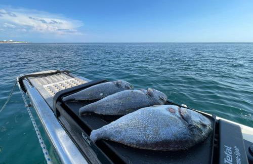 yacht Twenty Seven - Foto 15