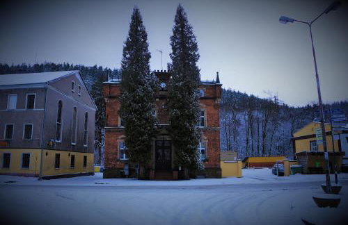 Kot Pocztowy - Foto 78