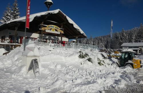 Arber Alm - Foto 61
