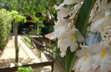 Casa do Artista - Foto 34