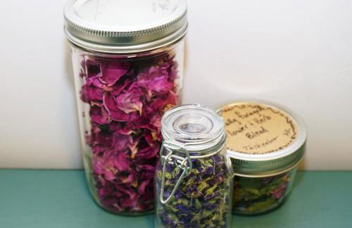 Silver Birch Vacation Rental - Foto 20