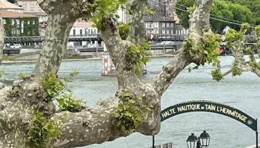 La Batellerie, vue sur Rhône - Foto 2