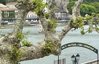 La Batellerie, vue sur Rhône - Foto 2