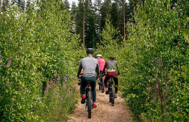 Nordic Island Hideout - Foto 20