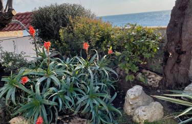 Villa Mantea - Foto 35