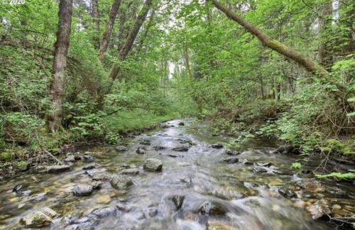 Orchard House! Recharge at Peaceful Nature Escape - Foto 18