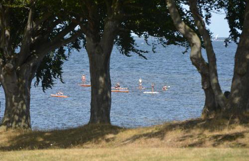 Apartament Babitonga I - Photo 7