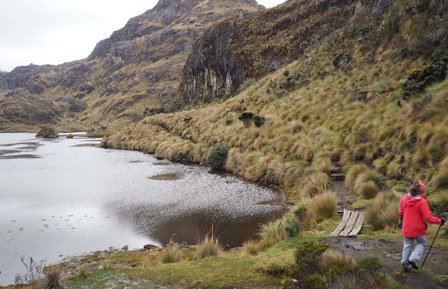 Cajas National Park Hiking Activity - Foto 1