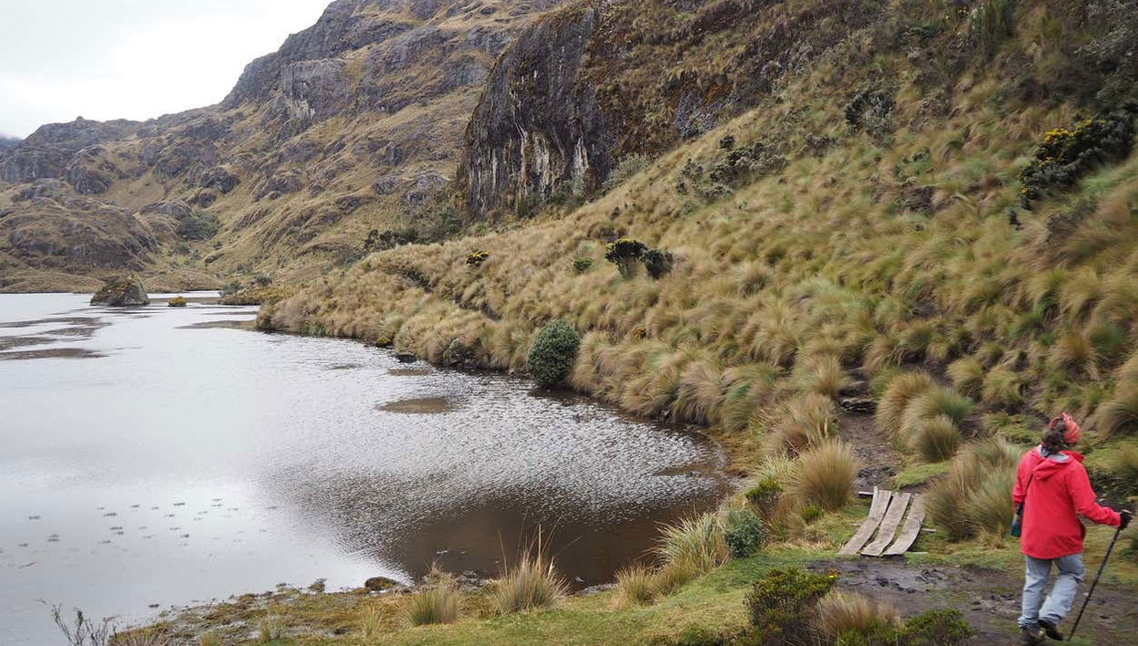 Cajas National Park Hiking Activity - Foto 1