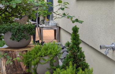 Ferienwohnung Taunus - Foto 14