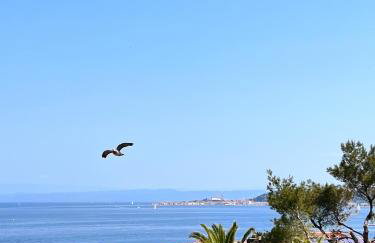 Apartment Tamara - Foto 19