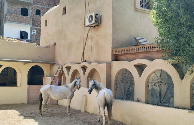 Harmony Villas Sleeps 4 With Garden - Foto 9