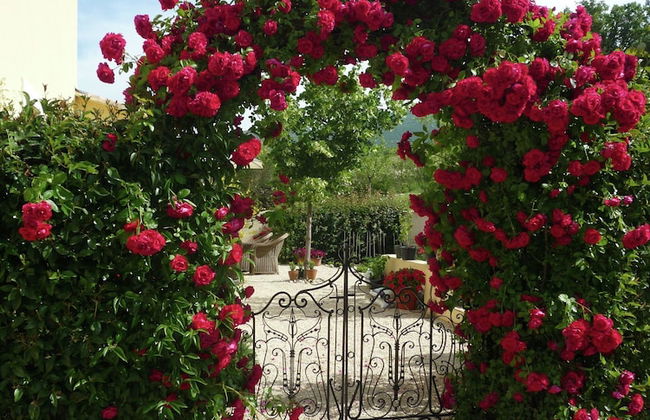 Apartment in Montbrun-les-bains Near Forest - Foto 54