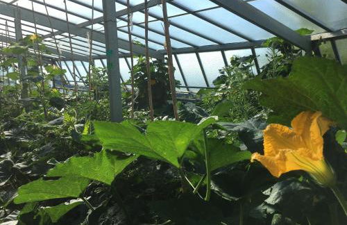 Agriturismo LaValleggia - Foto 149