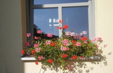 AppartementHaus Nienburg - Foto 24