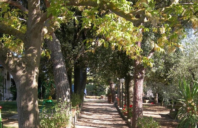 Tenuta Di Pontesodo - Foto 34