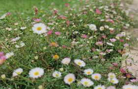 Casale Regnano - Photo 24