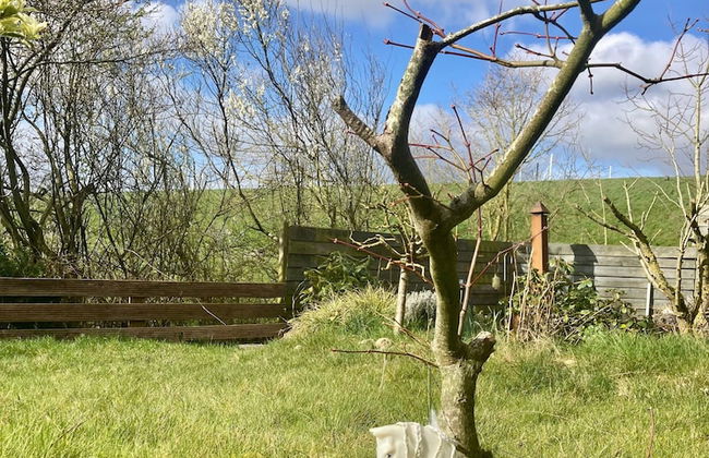 Spacious 6-person Holiday Home Dijkrose Close to the Lauwersmeer - Photo 32