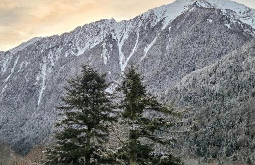 Feuille de Cimes Jacuzzi et Sauna Le Sylvestre - Foto 20