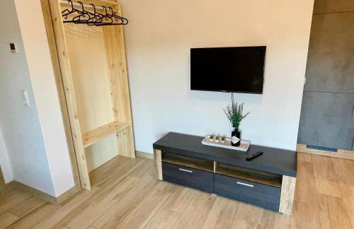 1 Zimmer Apartment im Schwarzwald - Foto 4