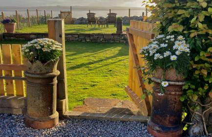 Little Egret - Foto 24