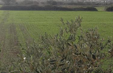 Ταξιδιώτες Travellers - Foto 5