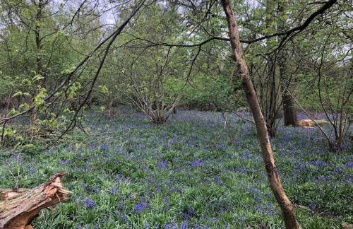 The Stables - Foto 18