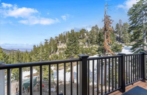 Stage Coach Run home - Foto 51