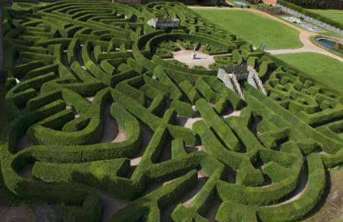 The Green Bus and the lodge - Foto 19