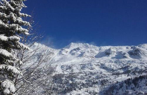 Rustic & A Chalet 'Le Sert du Grey - Vaujany - Foto 3