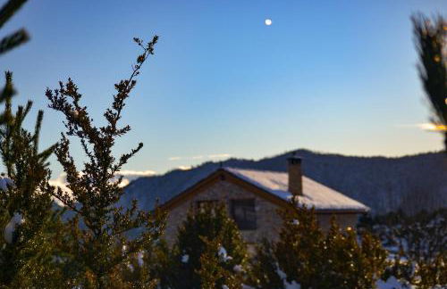 As Fuebas de Patricio - Foto 47