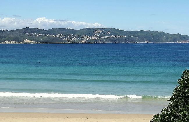 Experience Nature at Brenton on Sea With Breakers Dolphins and Whales - Foto 28