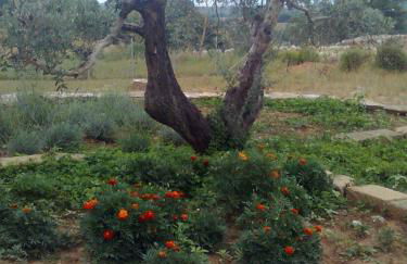 Agriturismo La Carletta - Foto 57