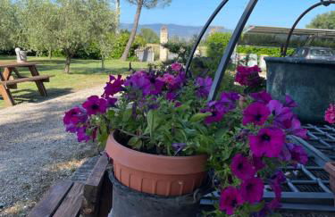 Le Ghiande - Foto 28