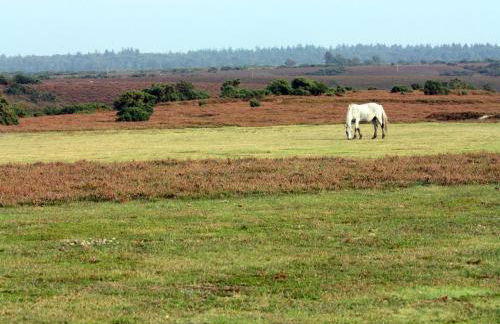 Perfect holiday Home from Home , three bedroom house for 5 guests - Foto 22