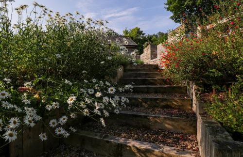 Black Cat Bach - Foto 29