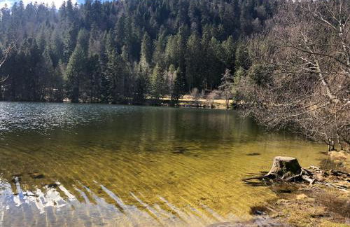 Magnifique appartement classé 4 étoiles avec Sauna et terrasse dans chalet - Foto 11