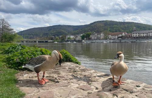 Ein Traum am Waldrand - Foto 20