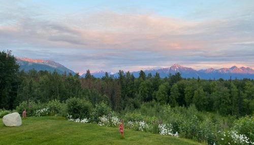 Lupine Cottage - Alaska at your doorstep! - Foto 5