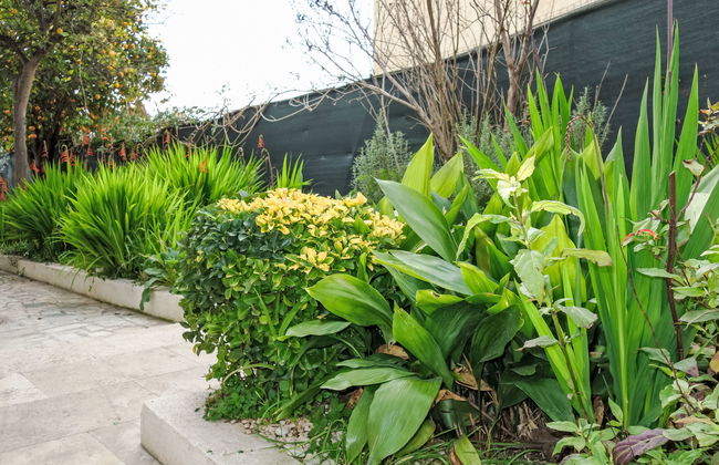 Mont des oiseaux - Photo 13