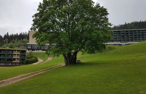 STUDIO CHALEUREUX aux pieds des pistes de ski des Glovettes - Foto 34