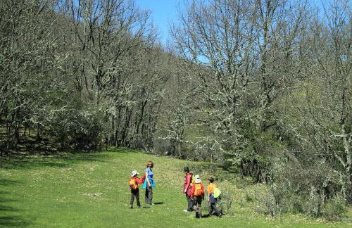 Casa rural El Abejaruco - Foto 70