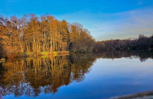 FEWO-Engelgrundweiher - Foto 12