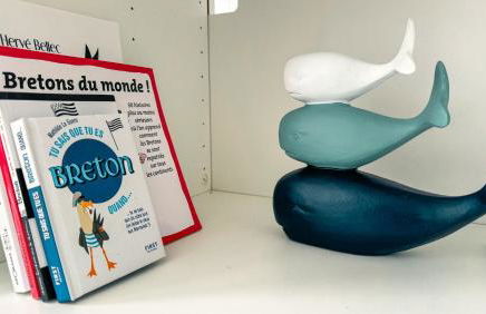 Studio vue mer - Foto 6