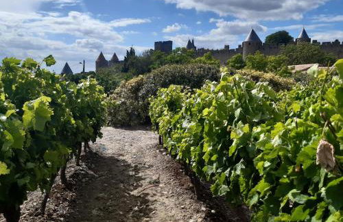 Domaine Fontgrande Gîte - Photo 10