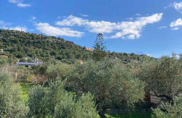 Studios Angeliki - Photo 47