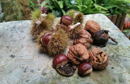 Casa De Aldea La Galea - Foto 19